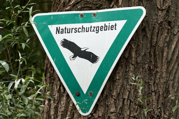 A green and white sign for a nature reserve on a tree in a forest in Steinmauern, Germany. (English translation: \