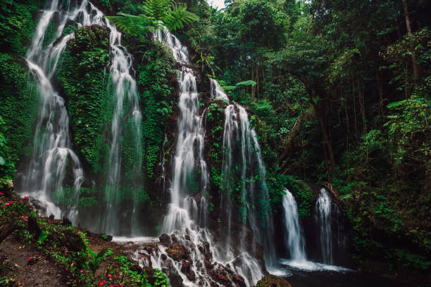 istock Cascade waterfall in tropical rain forest at Bali 1224636556