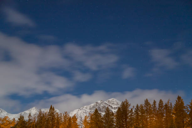 istock Night winter landscapes in Canada at night 1224636654
