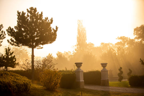autumn in the garden
