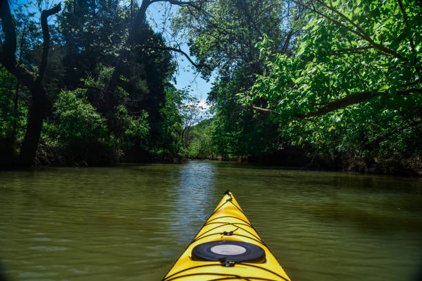 paddeln auf dem tennessee river - waterfall stream river tennessee stock-fotos und bilder