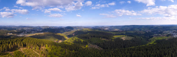 istock evening forest landscape from above high definition panorama 1224640109