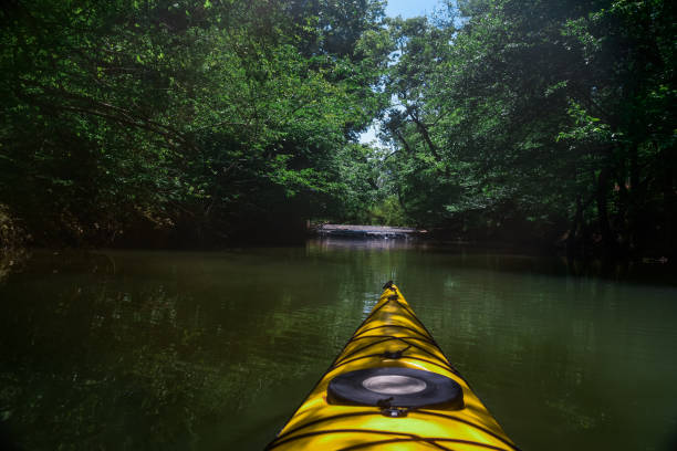 paddeln auf dem tennessee river - waterfall stream river tennessee stock-fotos und bilder