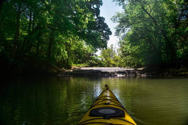 istock Paddling on the Tennessee River 1224641527