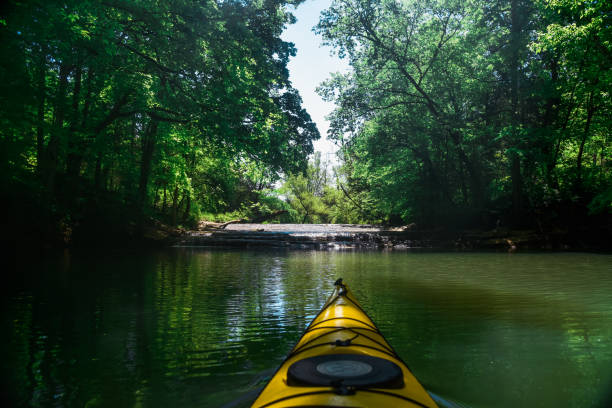 paddeln auf dem tennessee river - waterfall stream river tennessee stock-fotos und bilder