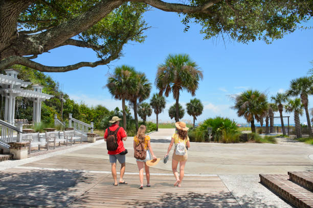 Family walking to the beach on summer vacation. People enjoying summer vacation by the ocean. Palm trees on the pathway leading to ocean. Coligny Beach Park, Hilton Head Island, South Carolina, USA hilton head stock pictures, royalty-free photos & images