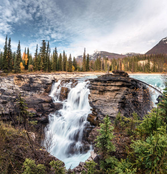 istock Athabasca Falls rapids flowing is waterfall in Jasper national park 1224643558