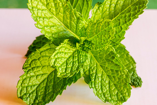 Close up on mint leaves