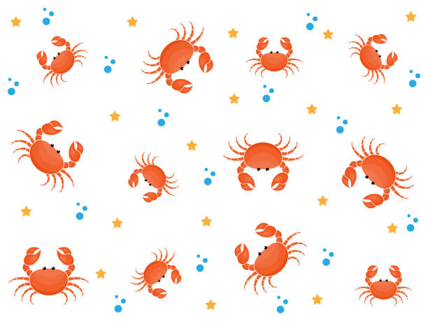 ilustrações de stock, clip art, desenhos animados e ícones de crab cute pattern background - sea ideas concepts crab