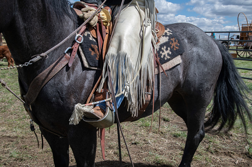 Western roping and horse riding gear