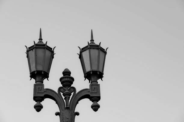 istock Street Lamp in Los Angeles 1224657141