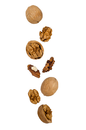 Falling Walnuts Falling Walnuts Isolated On A White Background With Clipping Path As ...