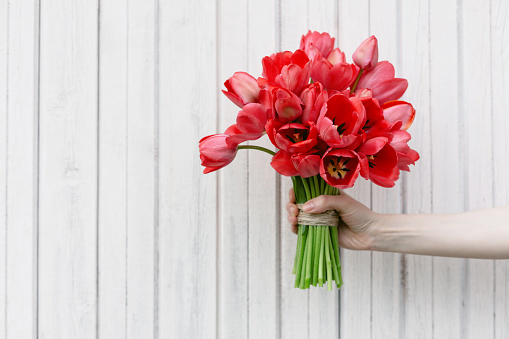 Red tulip flowers in hand on wooden background.