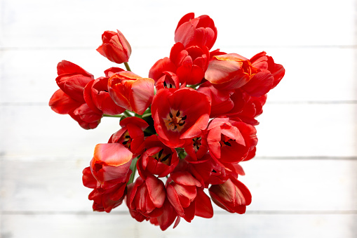 Bouquet of fresh spring red tulips flowers. Top View.