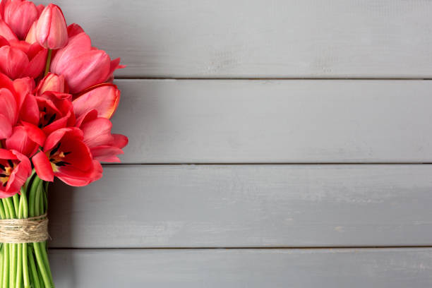 Flowers composition. Red tulip flowers on grey wooden table. Valentine's day, Mother's day concept. Flat lay, top view, copy space.
