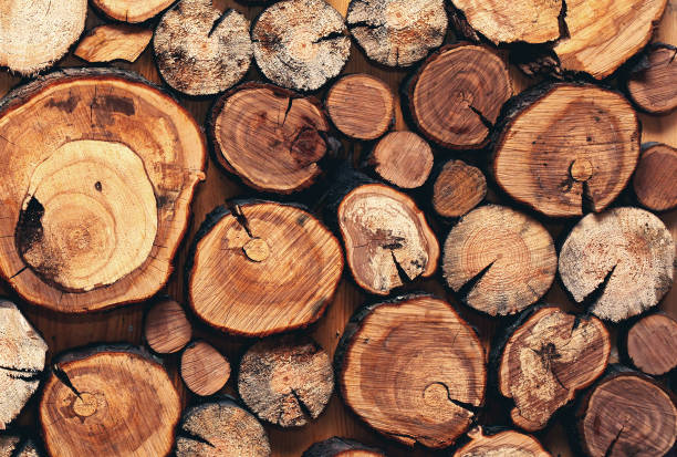 istock Close up abstract creative composition stacked a wooden sawn logs background 1224662454
