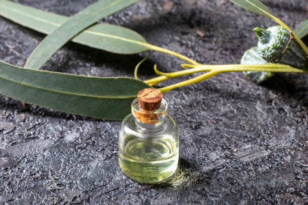 istock A bottle of essential oil with eucalyptus leaves 1224663637