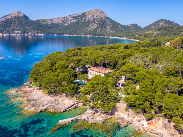 istock Formentor coast and coastline in Mallorca 1224664636