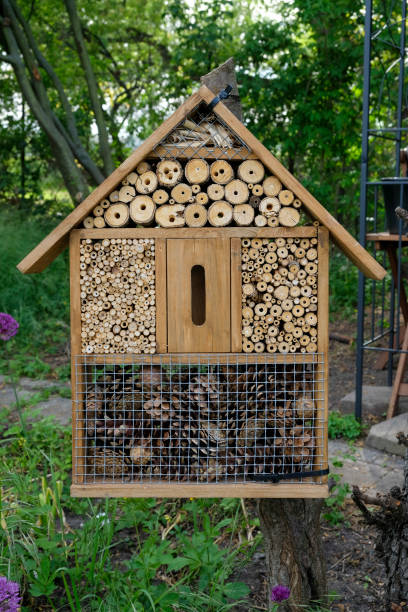 istock Wooden insect hotel against a green background 1224664892