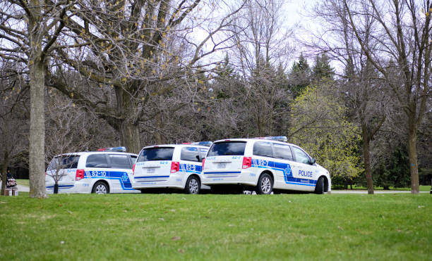 Montreal police cars parked in city park Montreal, Canada. May 10, 2020. Montreal police cars parked in city park as the monitor group during the Covid 19 Pandemic stm photos stock pictures, royalty-free photos & images
