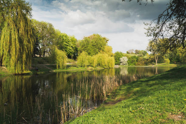 istock Park Moczydlo and its lake in the spring 1224667478