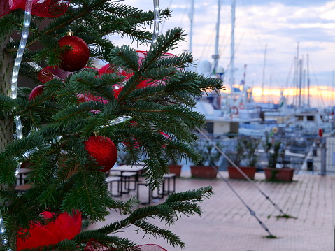 Genoa, Liguria, Italy, Europe;12/05/2019;christmas tree on the pier of the marina