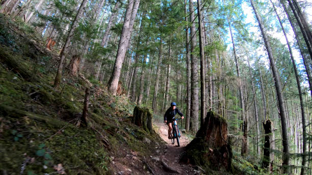 istock Female mountain biker rides along forested path 1224667802