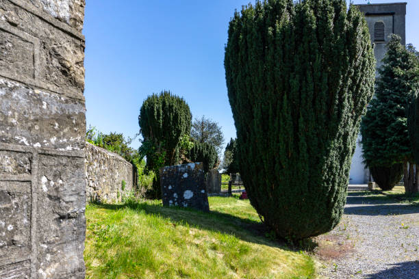 stary cmentarz obok st. johns, kościół irlandii,clondalkin. dublin, irlandia. - clondalkin zdjęcia i obrazy z banku zdjęć