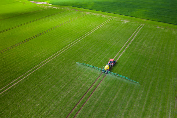 istock Tractor cultivating green field, aerial view 1224669760