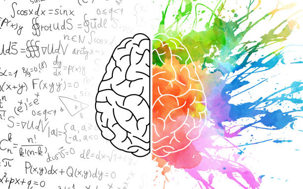 Left/right brain theory Left/right brain theory integral stock illustrations