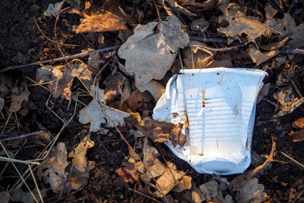 White crushed plastic cup on ground between dry brown leaves. Concept environmental pollution. Top view