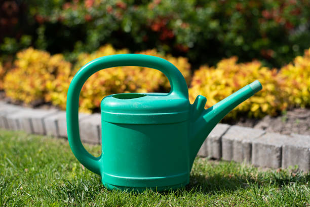 istock watering can in garden 1224676838