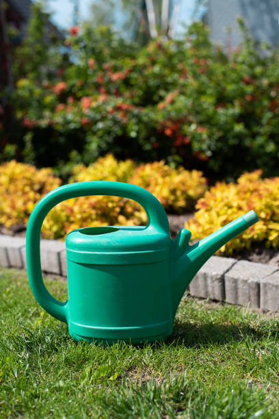 istock watering can in garden 1224676843
