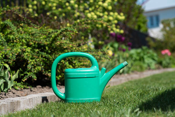 istock watering can in garden 1224676847
