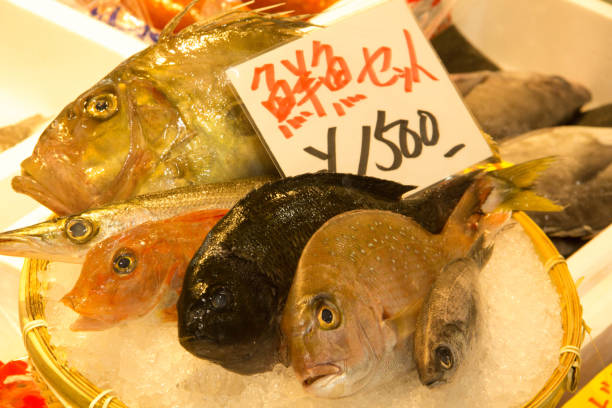 istock Seafood & Pastries from Japan 1224677909