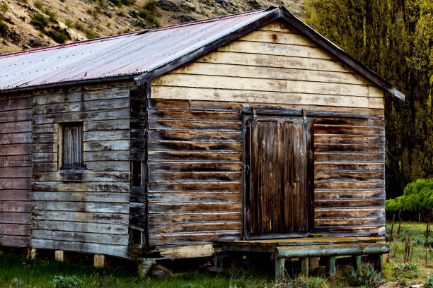 istock An Old Shearers In New Zealand 1224679072