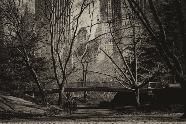 istock New York City's Central Park. 1224679131