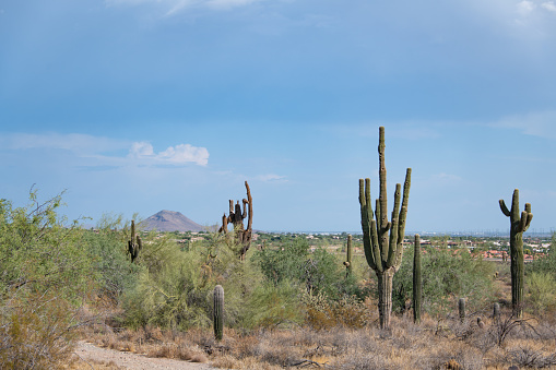 Unesco World Historic Site and National Historic Landmark