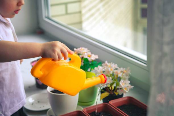 istock Two little children planting seeds 1224680657