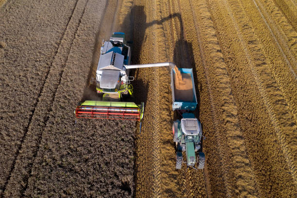 istock Combine pouring corn grain into tractor trailer, aerial view 1224682959