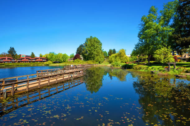 Beautiful lake at Residential District the City of Abbotsford A beautiful lake in a residential area of Abbotsford, covered with water lilies, a wooden bridge over the lake and a village of townhouses  on the shore against a blue sky abbotsford canada stock pictures, royalty-free photos & images