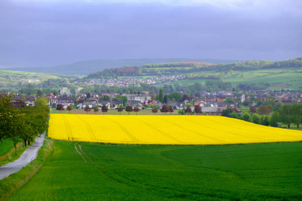 istock Landscape with yellow fields of blooming rapeseed in Germany. 1224684863