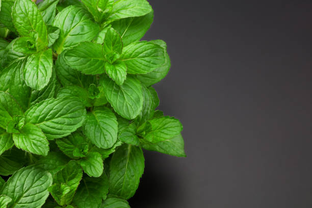 istock Fresh mint leaves isolated on black background. top view 1224685142