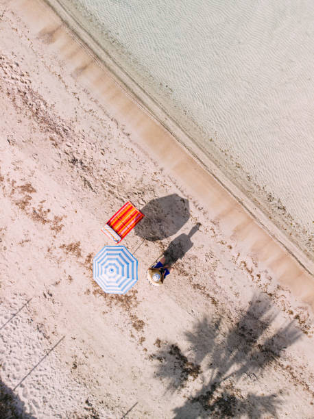 istock Aerial View Man on Untouched Beach 1224687402
