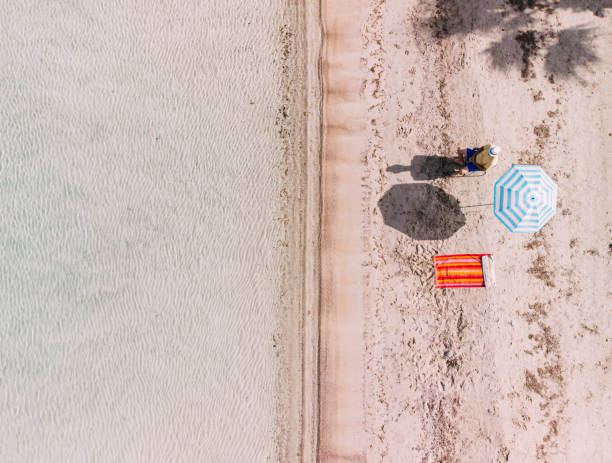 istock Aerial View Man on Untouched Beach 1224693128