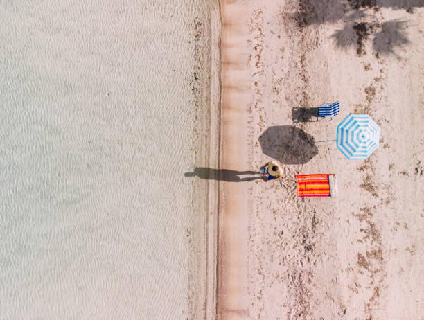 istock Aerial View Man on Untouched Beach 1224694001