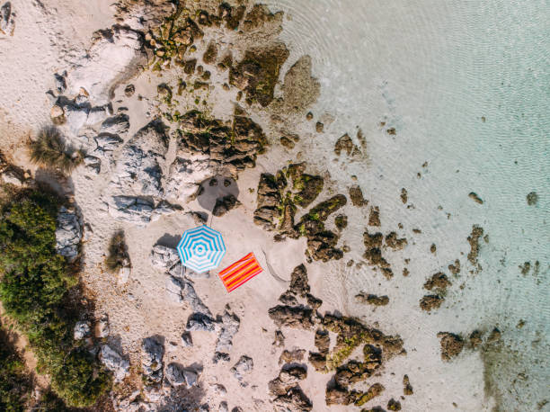 istock Aerial View Untouched Beach 1224695402