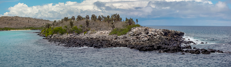Panoramic of a segment of the Santa Fe island formed by volcano rocks and covered with opuntia cacti