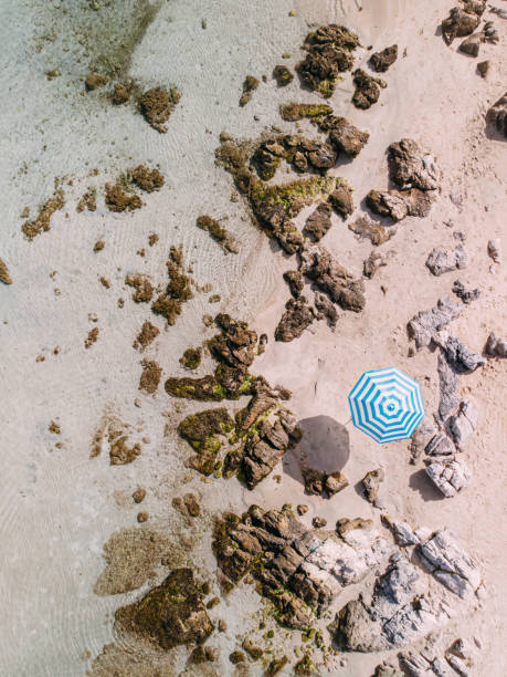istock Aerial View Untouched Beach 1224700639