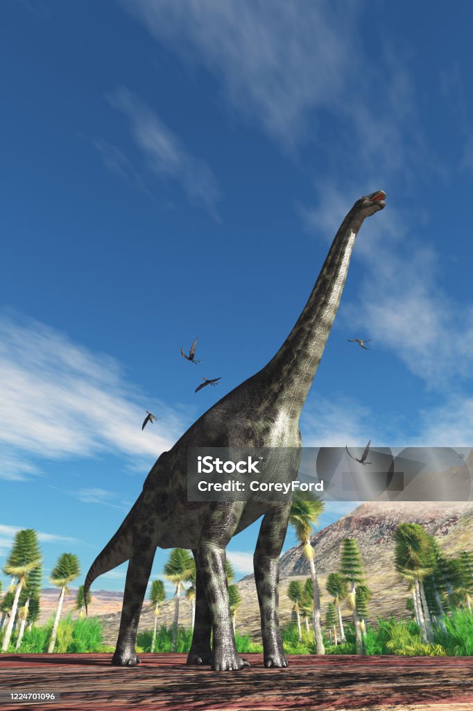 セティオサウルス恐竜 - ストックフォト・写真素材...